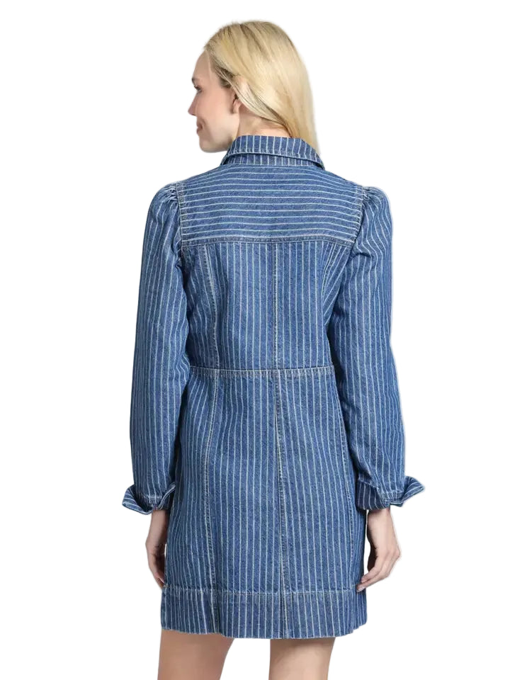 APNY True Indigo Shift Dress-River Indigo