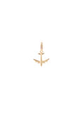 Adventure Charm Luxe Plane