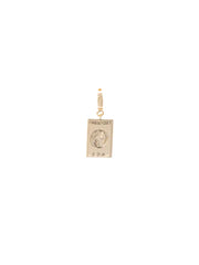 Adventure Charm Luxe Passport