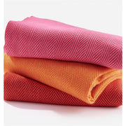 Charlie Paige Bright Color Scarf (Asst.)