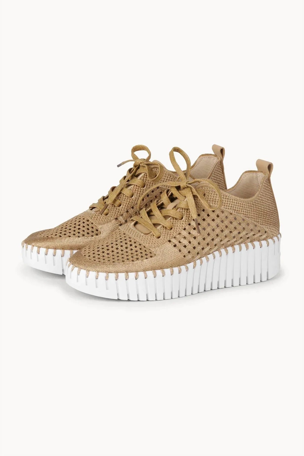 Ilse Jacobsen Tulip 4271 Platform Perforated Tennis Shoe -Latte Embroidery w/ White Sole