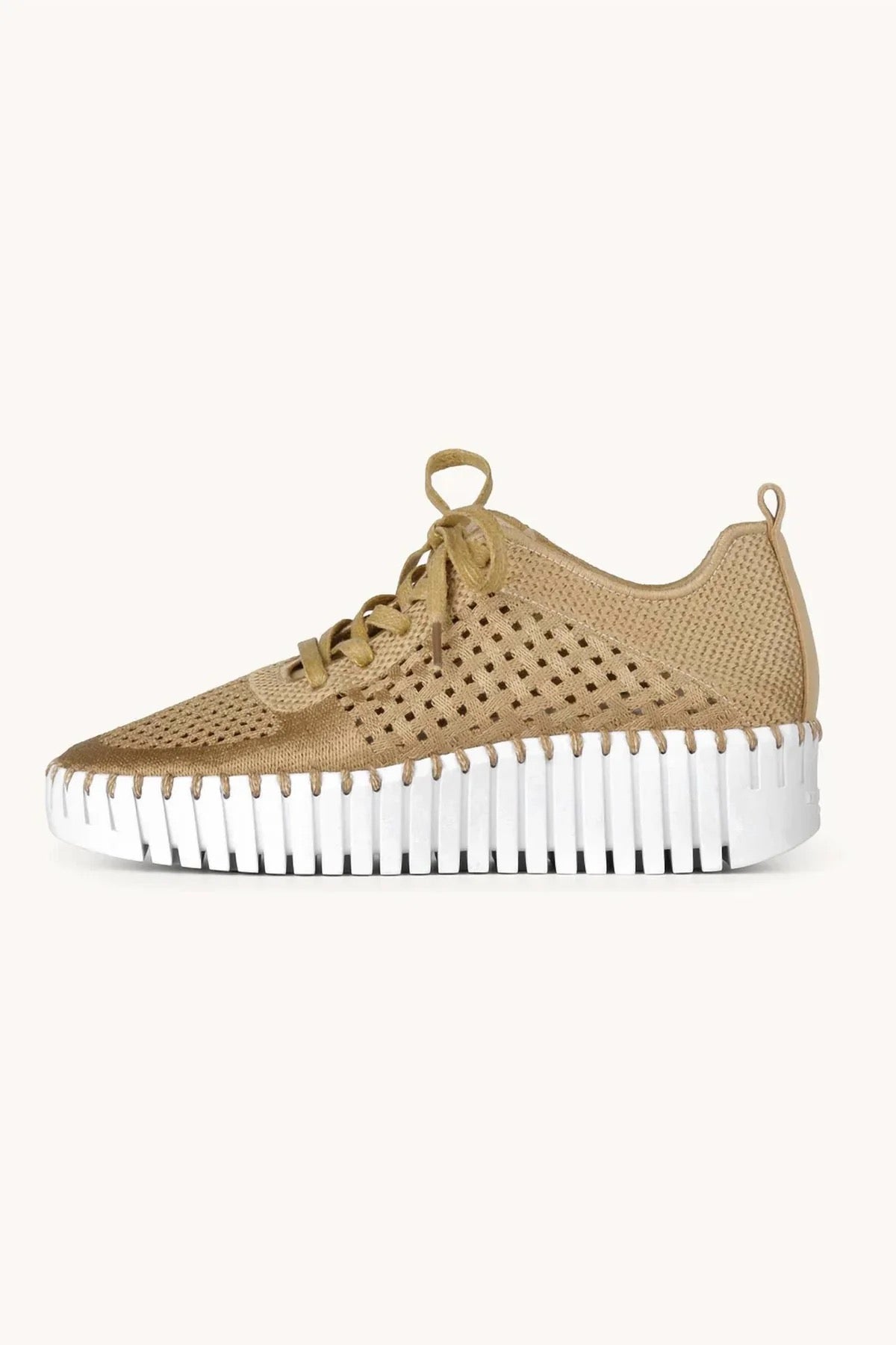 Ilse Jacobsen Tulip 4271 Platform Perforated Tennis Shoe -Latte Embroidery w/ White Sole