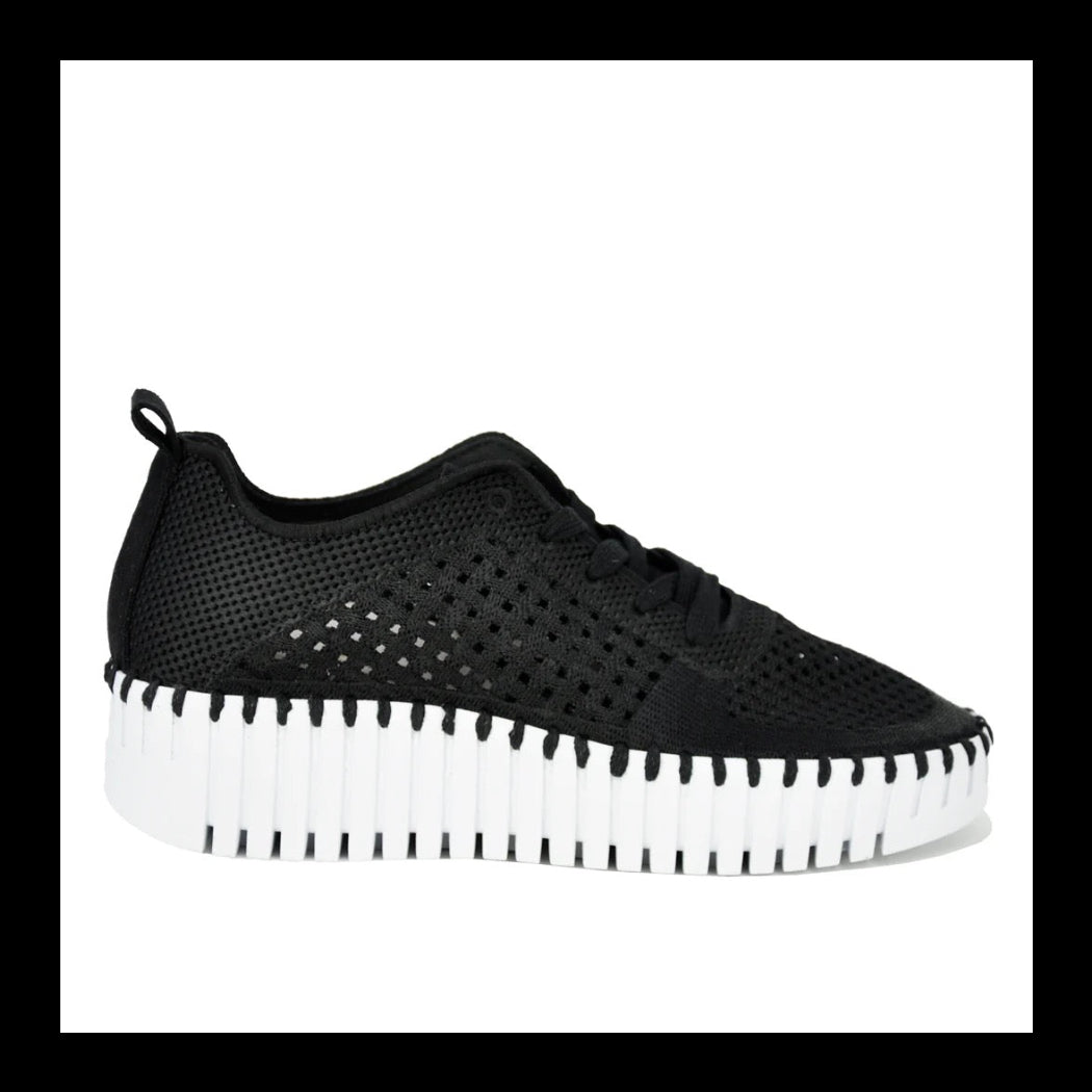 Ilse Jacobsen Tulip 4271 Platform Perforated Tennis Shoe -Black Embroidery