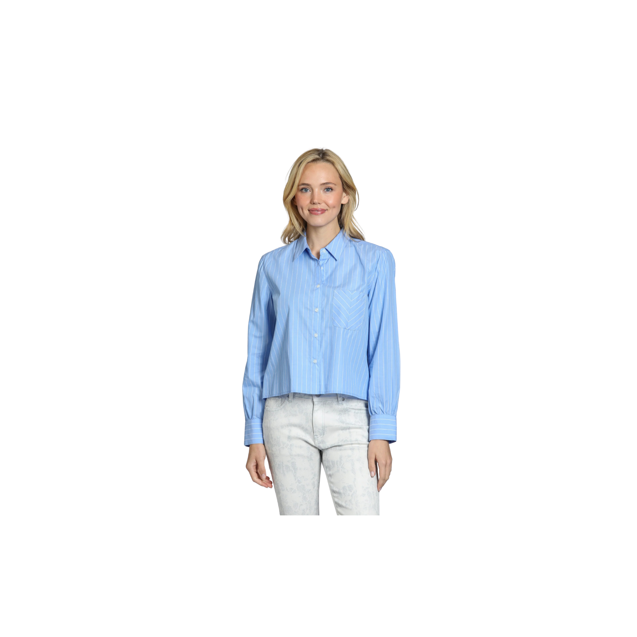 APNY Cropped Stripe Shirt