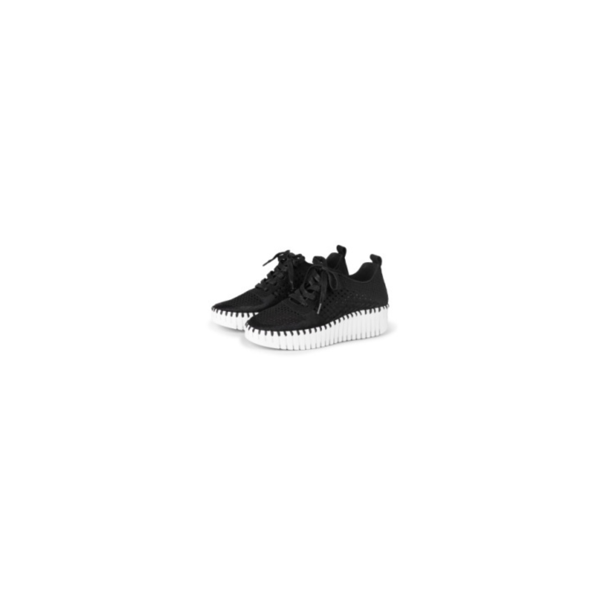 Tulip 4271 Platform Perforated Tennis Shoe -Black Embroidery