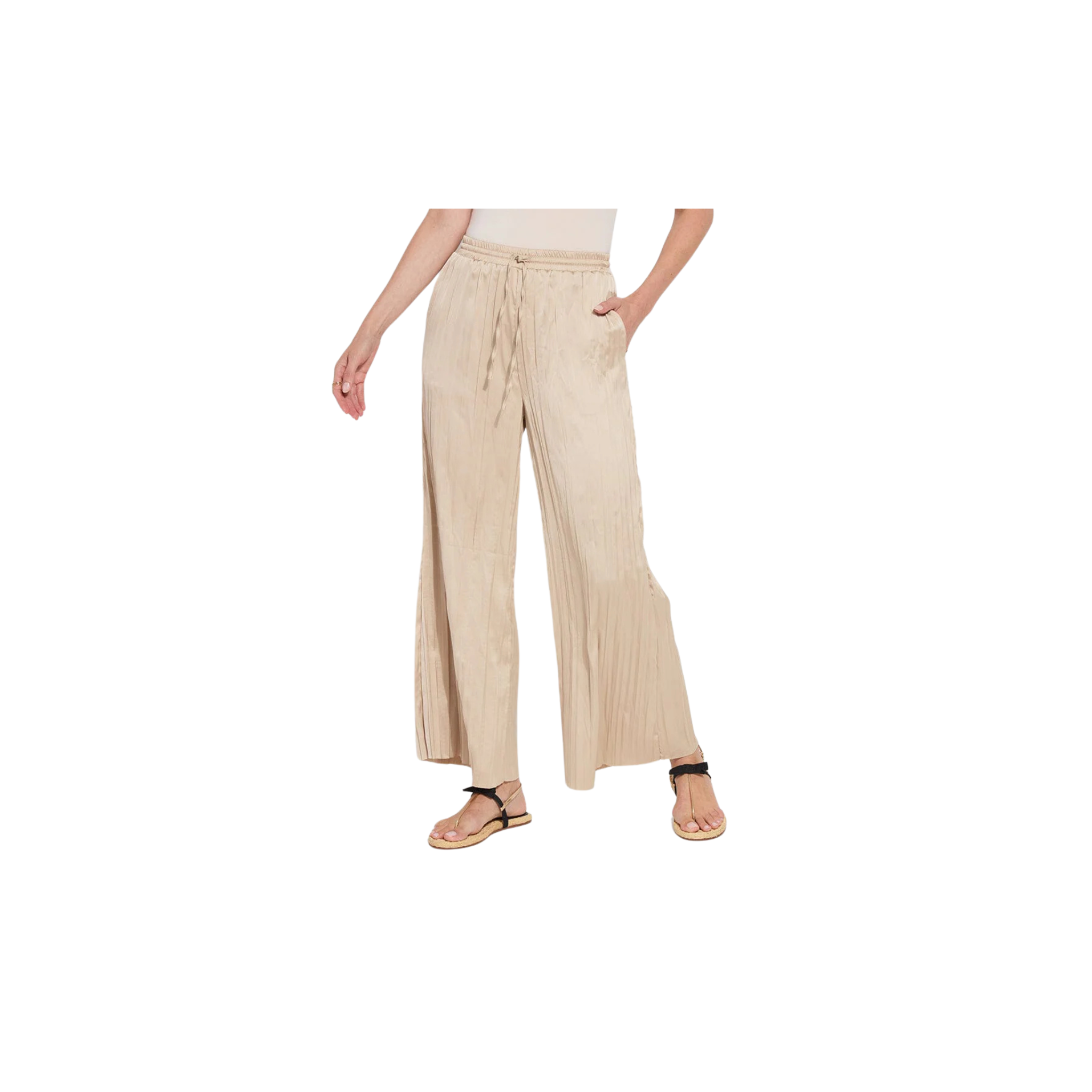 The Packable Pleated Palazzo Pant-Chablis