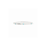 Crescent Stone Bangle-Turquoise Blue/Silver