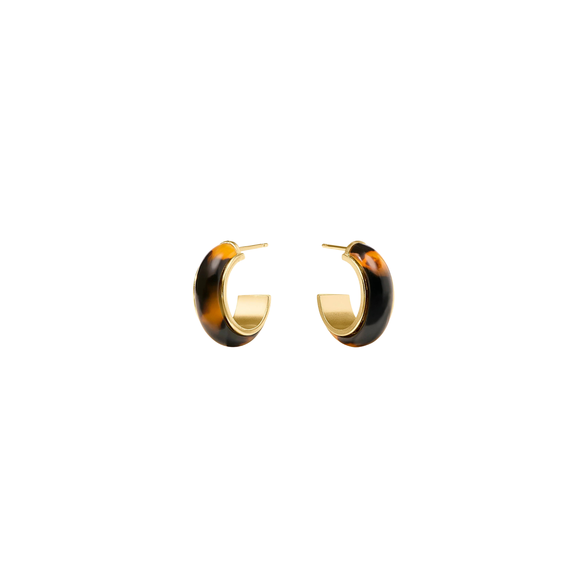 Carnaby Hoop-Tortoiseshell (Med)