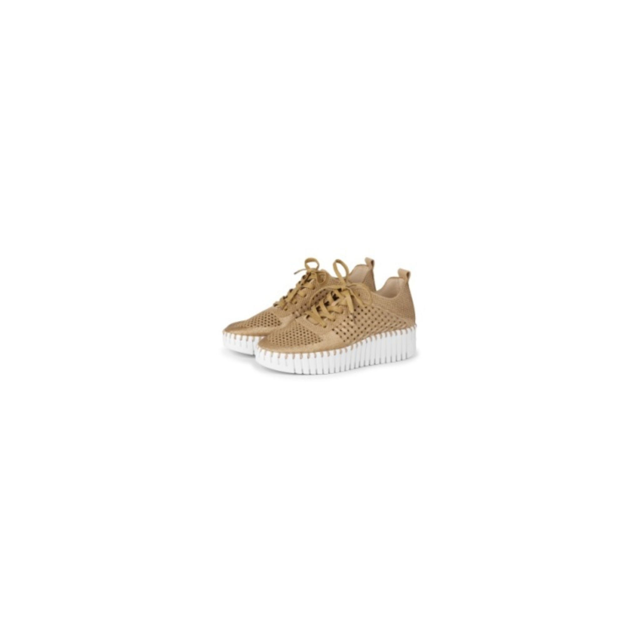 Tulip 4271 Platform Perforated Tennis Shoe -Latte Embroidery w/ White Sole