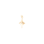 Michelle McDowell Bag Charm -Star