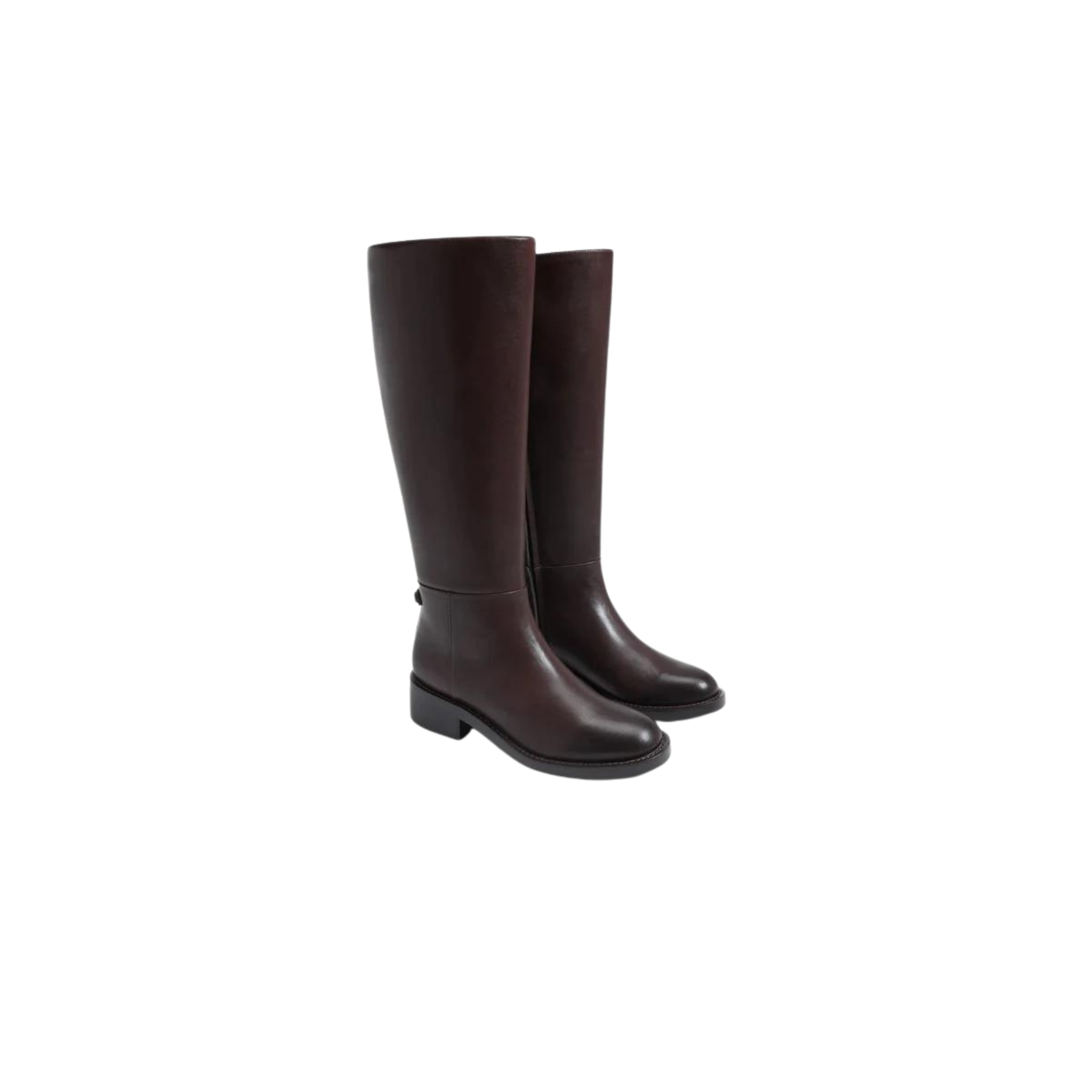 Mable Wide Calf Riding Boot