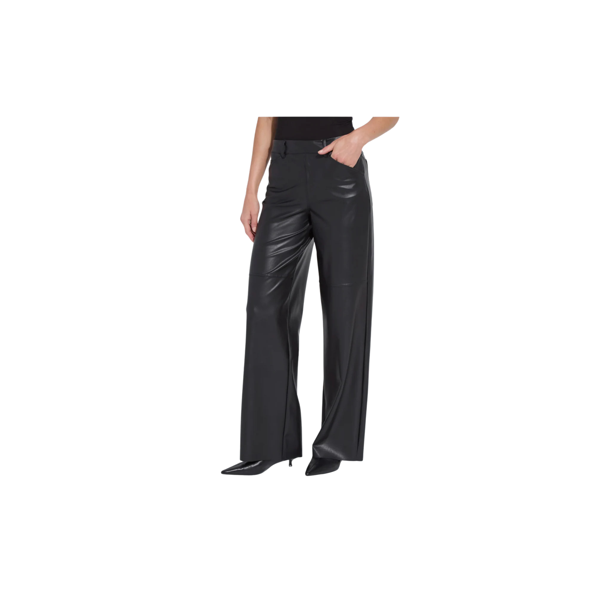 Azara Wide Leg Faux Leather Pant -Black
