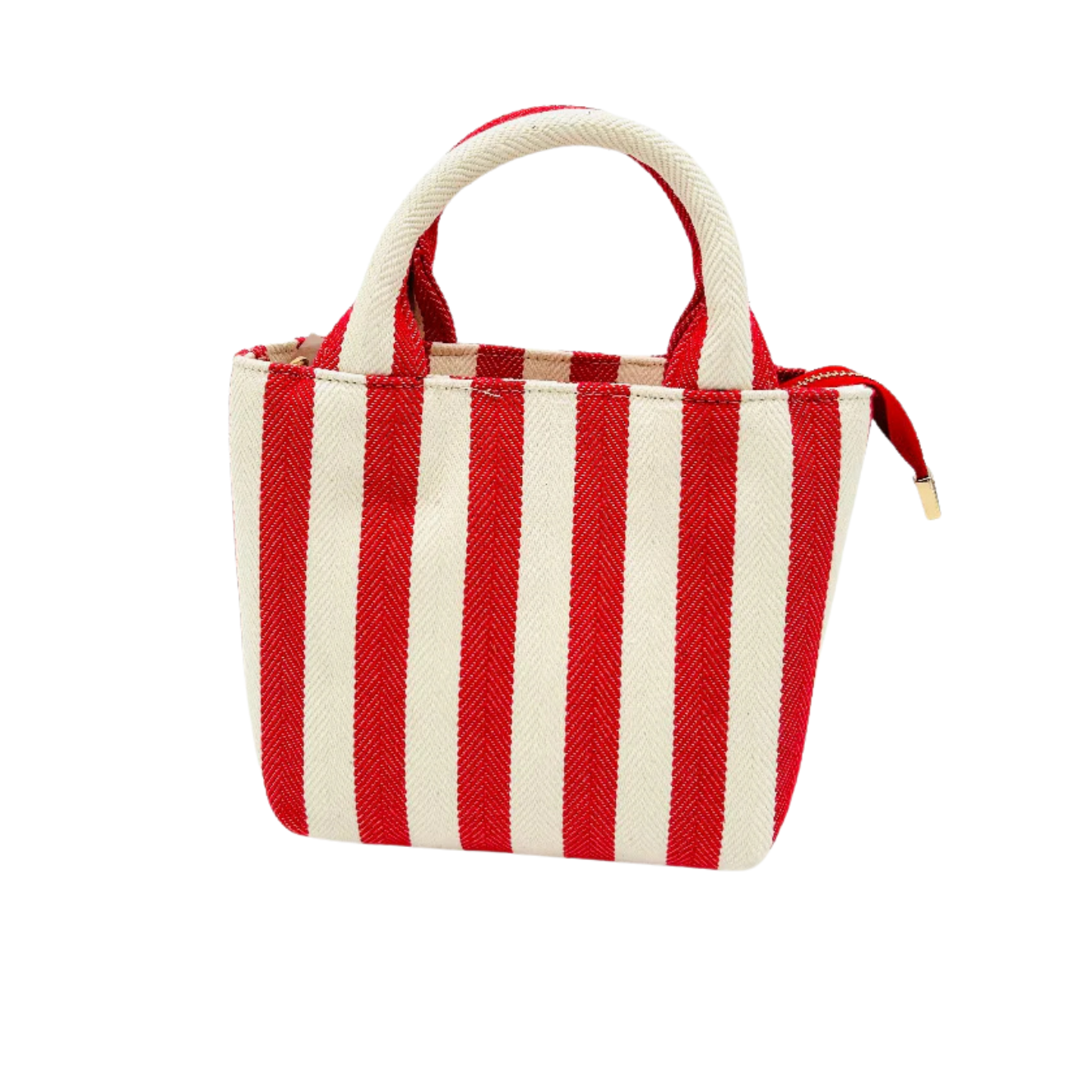 Baldiz Red Herringbone Canvas Mini Cypress Bag