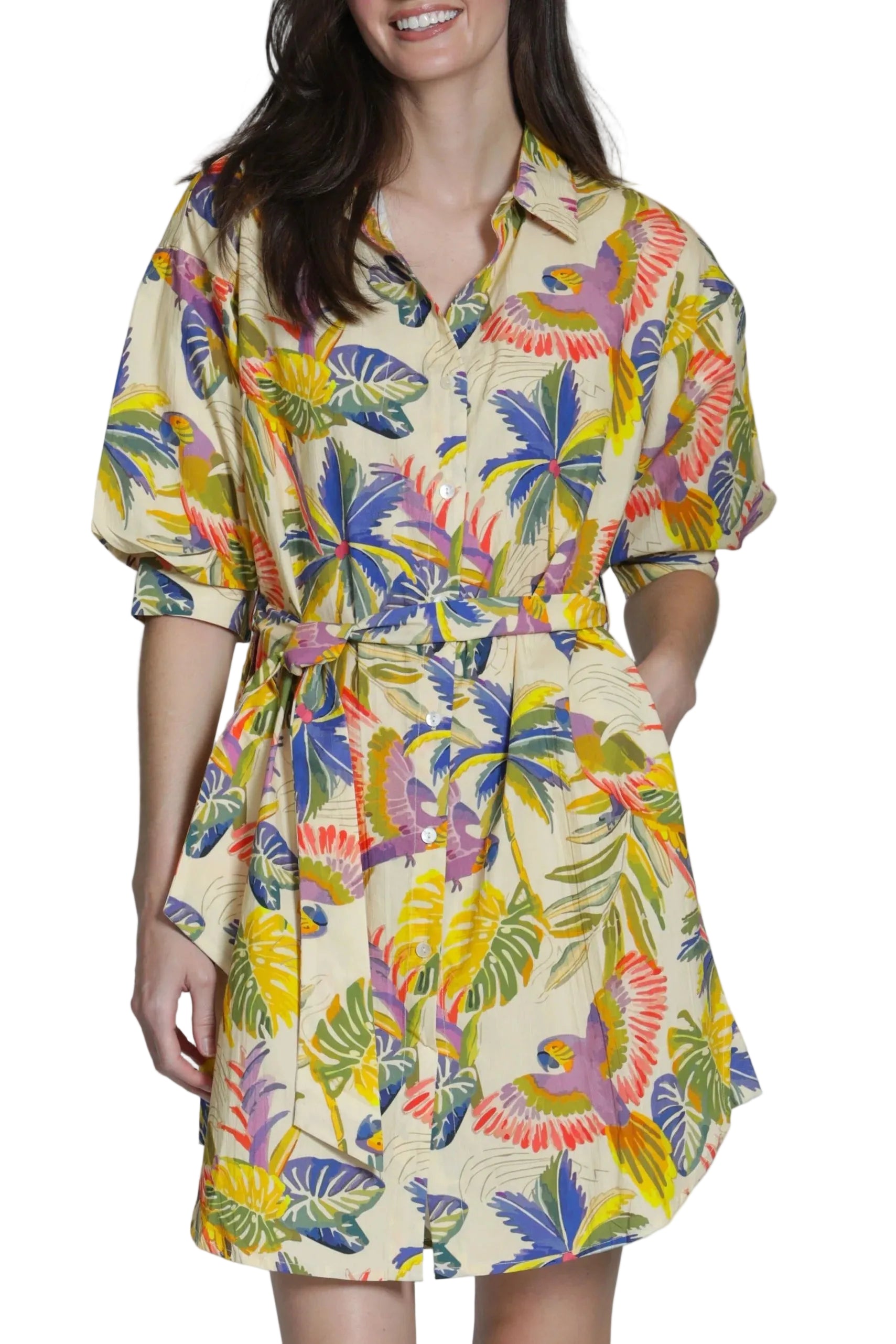 APNY Belted Dress w/ Puff Sleeves -Blue/Olive Multi