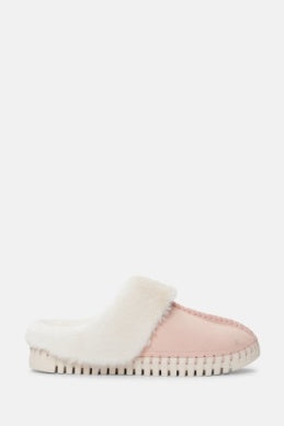 Tulip 3871